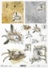 Pascua decoupage papel, granja feliz, cabra*Ostern Decoupage Papier, Happy Farm, Ziege*Пасха, счастливая ферма, козы